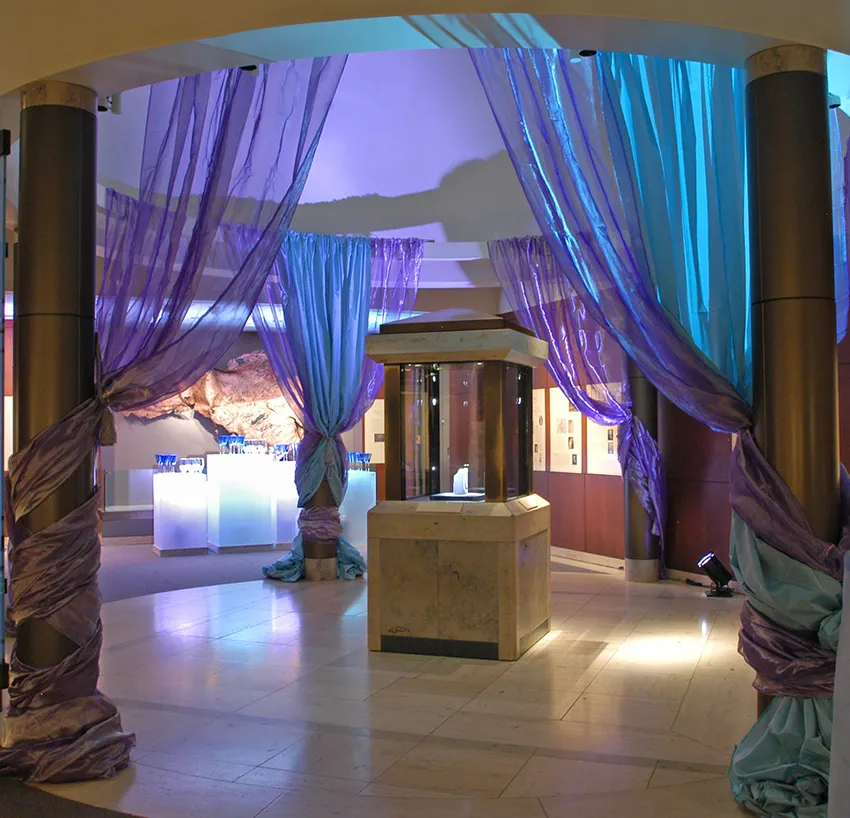 NMNH Winston gallery transformed for an event