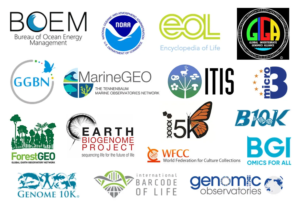 A collage of logos from GGI partners. 