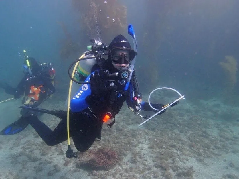 Madison Harris in scuba gear, swimming underwater and waving at the camera.