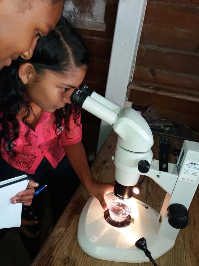 Kids examining samples.