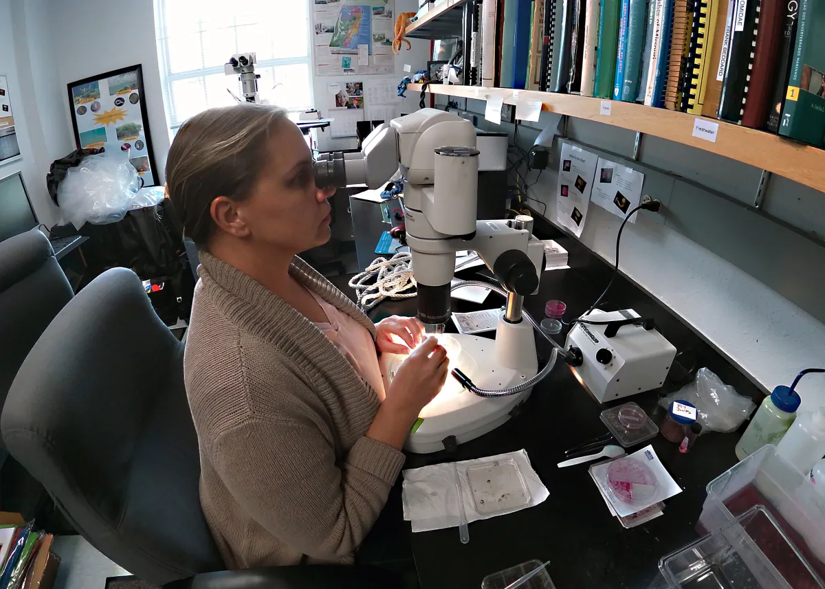 Scope sorting of benthic samples