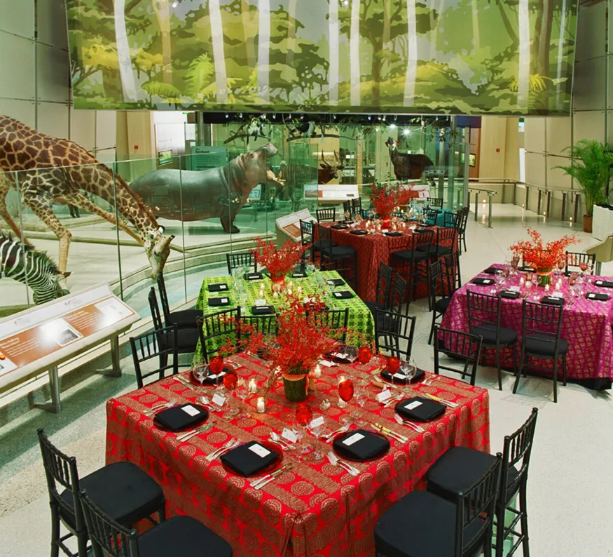 NMNH Mammals Hall transformed for an event