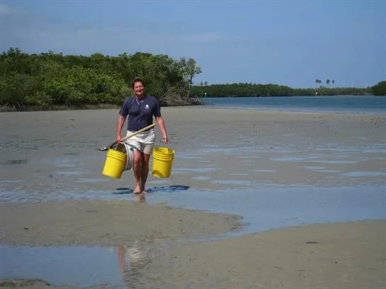 Sherry on mud flat