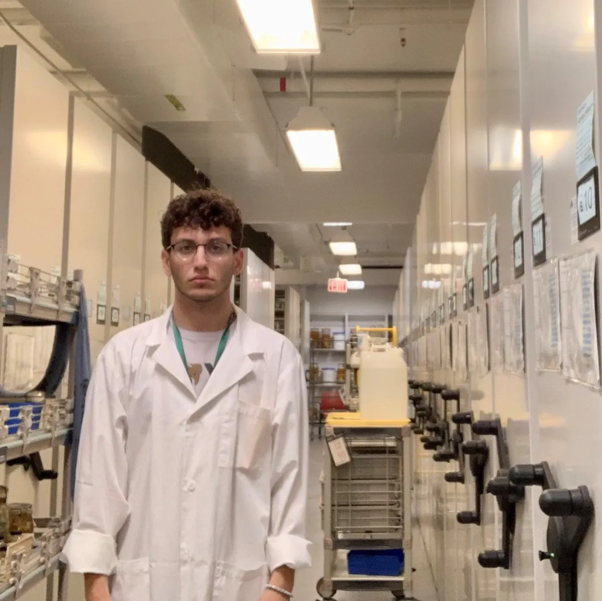 A person in a lab coat standing in one of the invertebrate zoology collection rooms