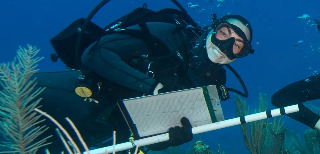A woman scuba diving near a coral reef while holding a clipboard and pole.