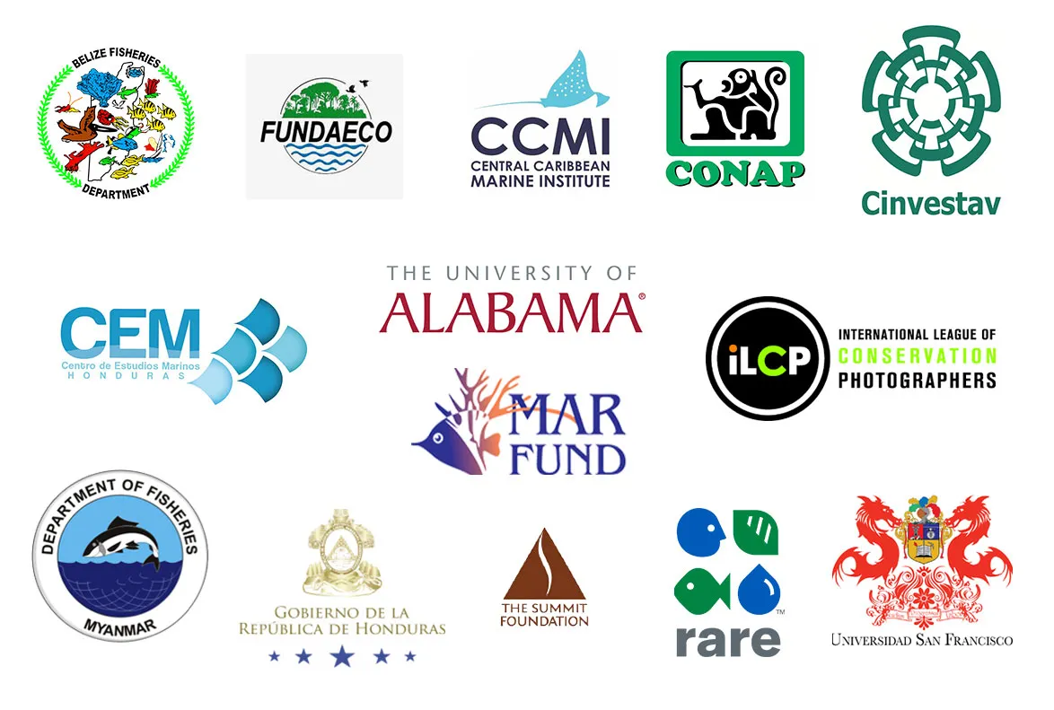 A white background with logos of Marine Conservation Program Partners.