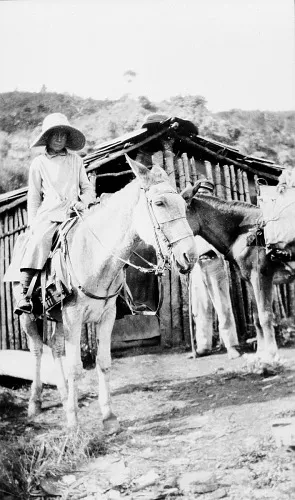 Agnes Chase in Brazil