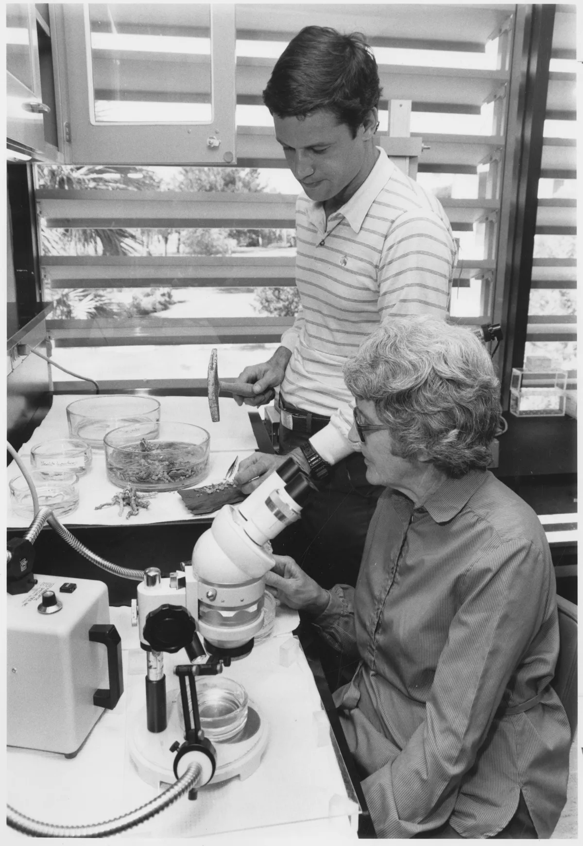 A woman and a man with a microscope and some petri dishes