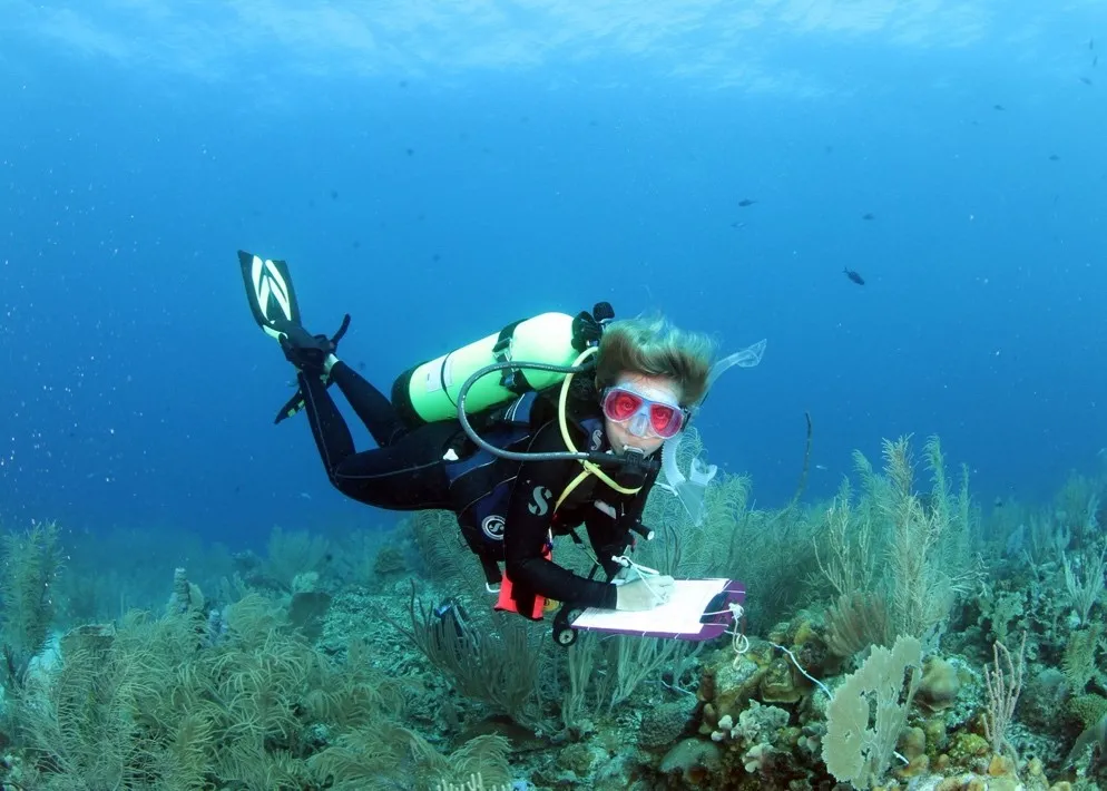 diver with pink-lensed mask and yellow tank hovers over a coral reef holding a purple clipboard
