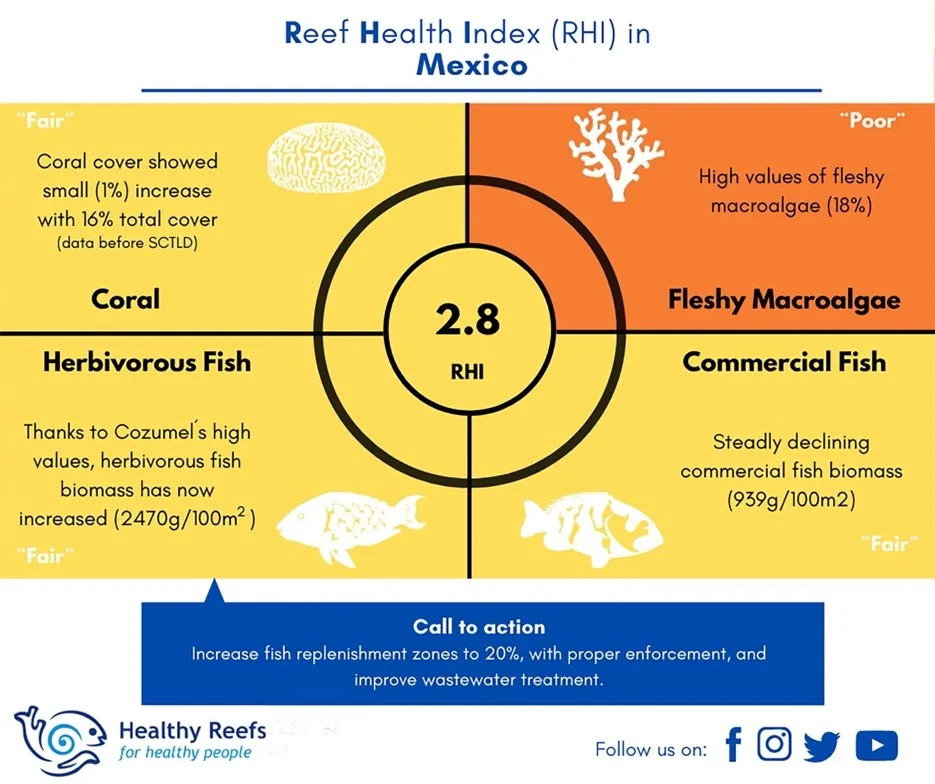 rectangle divided into four quadrants, three yellow and one orange, displaying the status of reef health metrics for Mexico in 2018