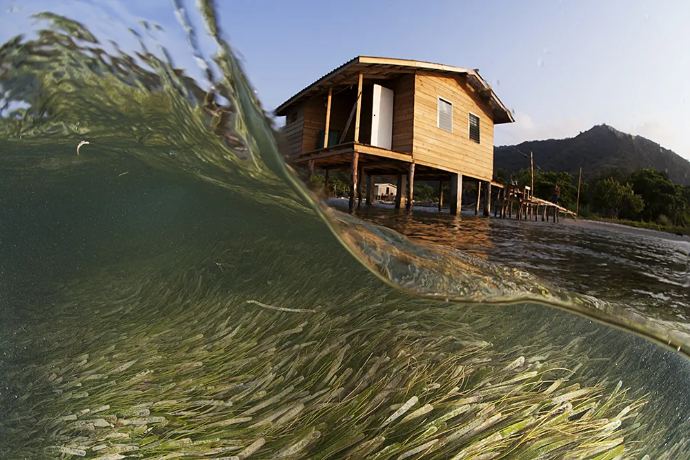 partially underwater shot of wave breaking with an over-the-water cabin in background