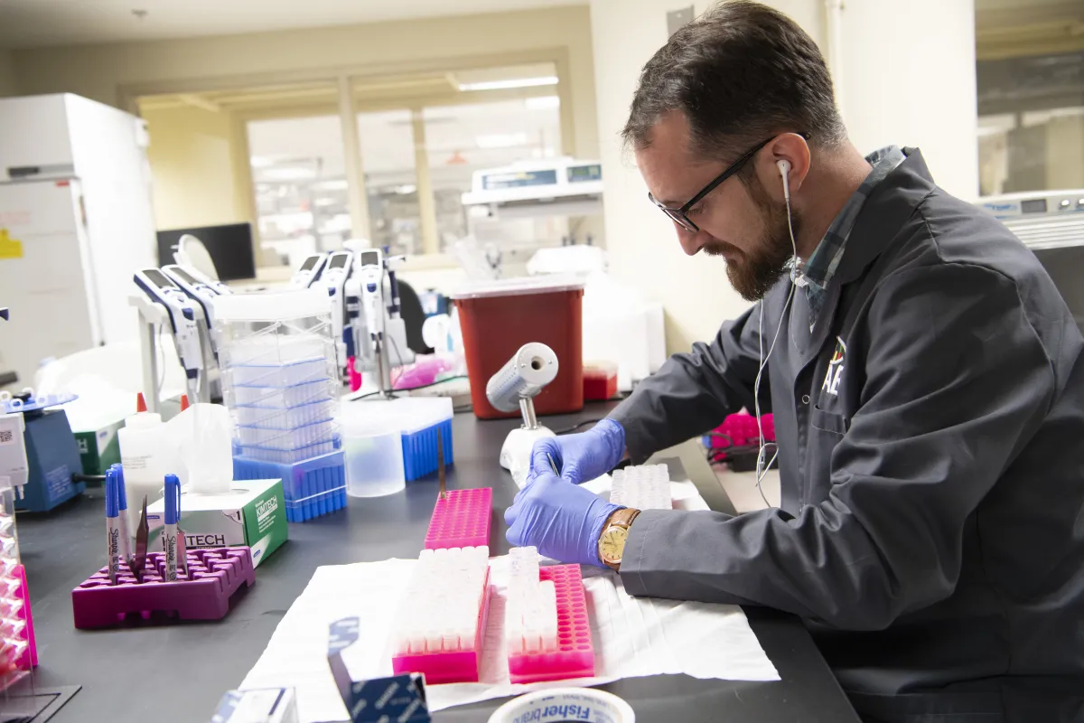 Scientist working in a lab with test tubes and tweezers