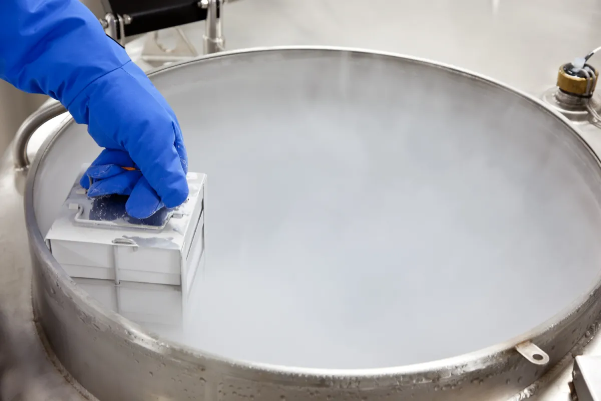 Image of DNA being deposited into a nitrogen tank