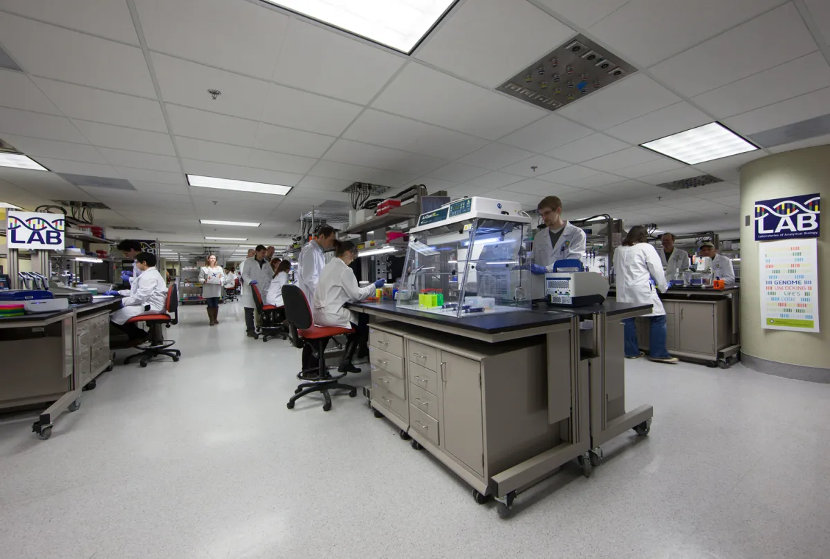 Photograph of scientists working in a LAB space