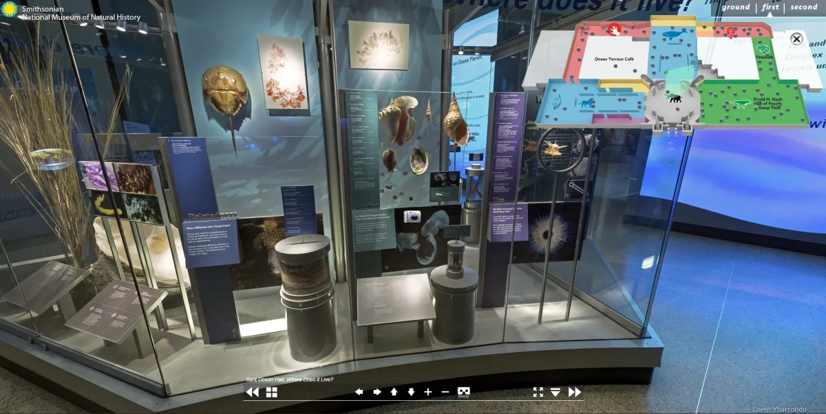 Graphic interface showing an exhibit case with seashells in it, a floor plan at top right, and a navigation bar at bottom center