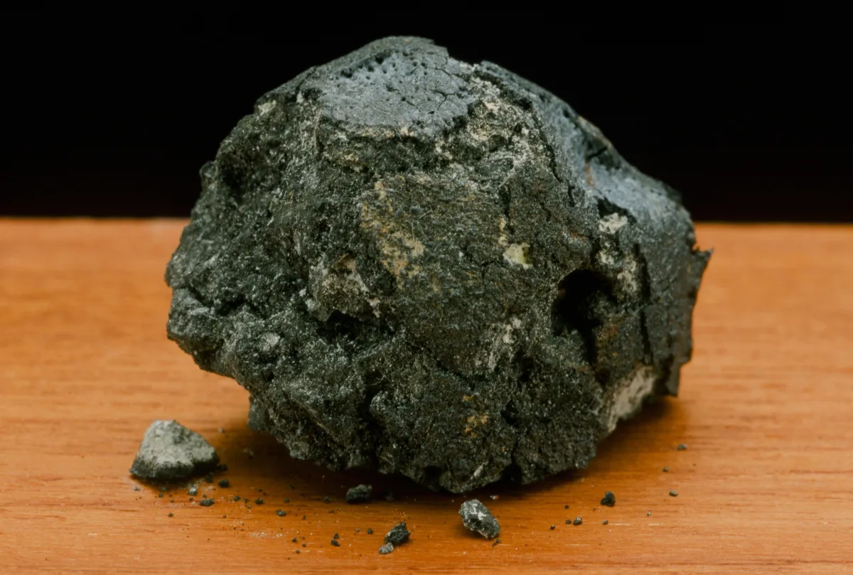 A carbonaceous chondrite on a wooden surface