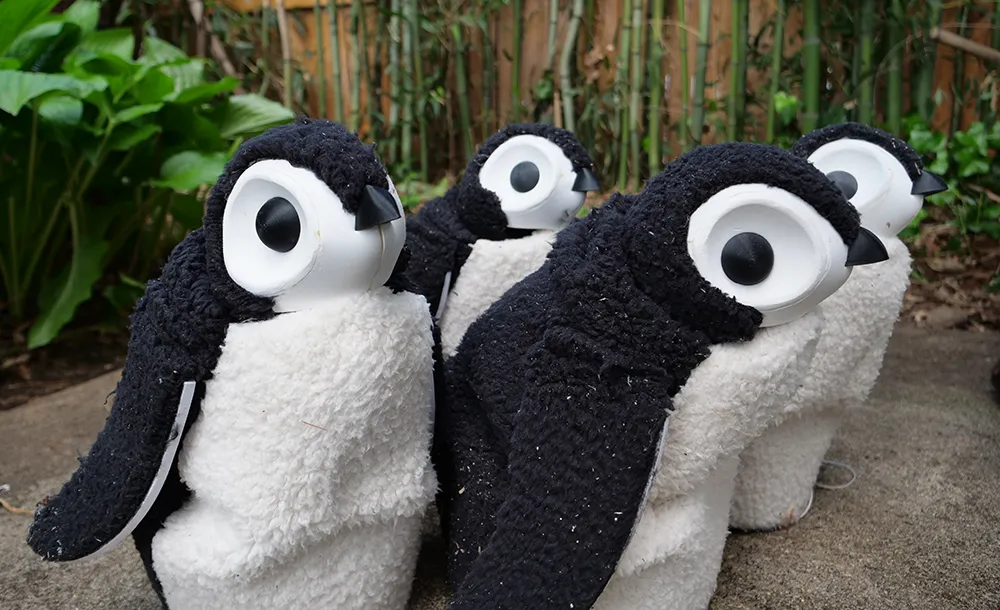 Four black-and-white penguin puppets standing on concrete with plants behind them.