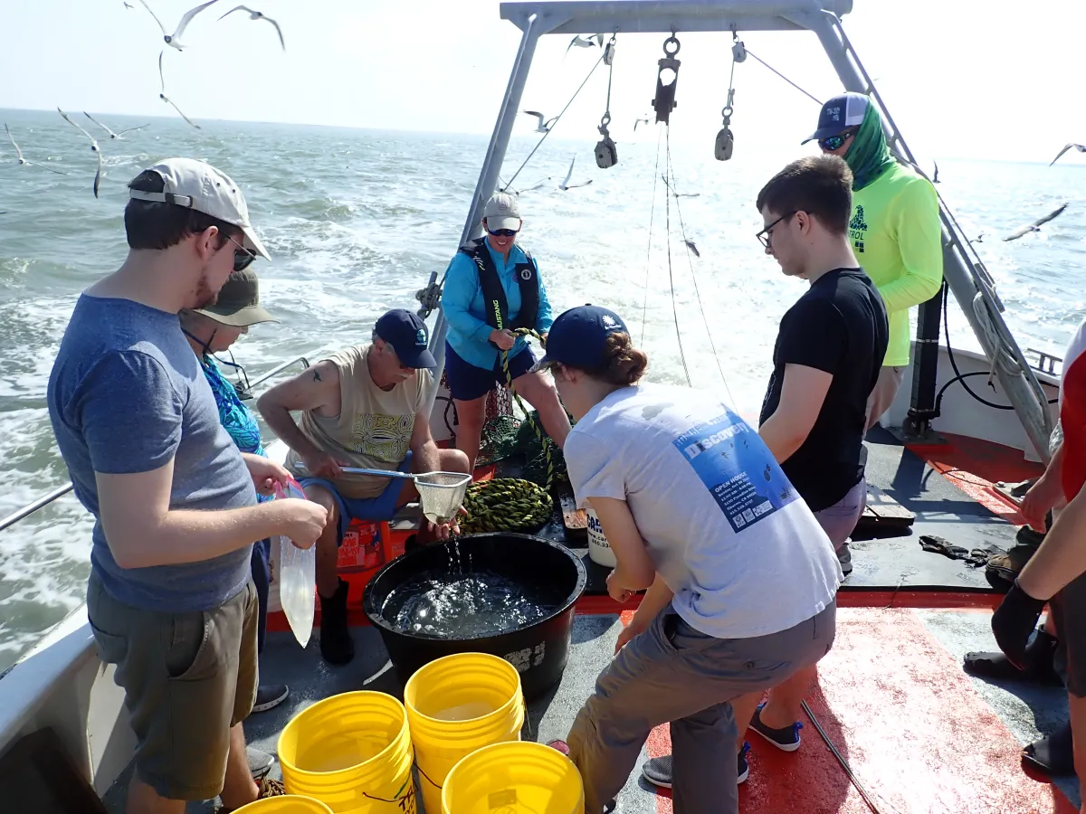 Scientists on a boat collecting specimens