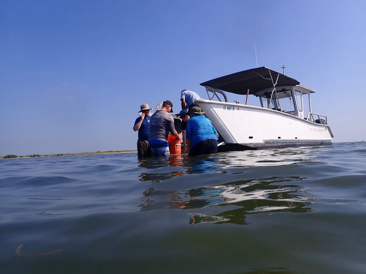 Smithsonian staff wading in water collecting specimens