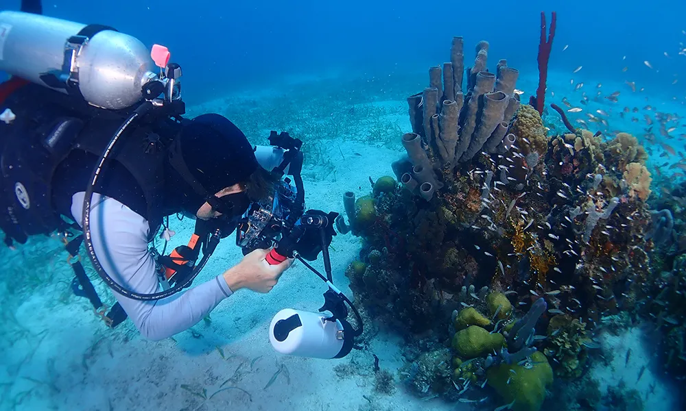 Scuba diver holding a camera in front of him, photographing a coral reef