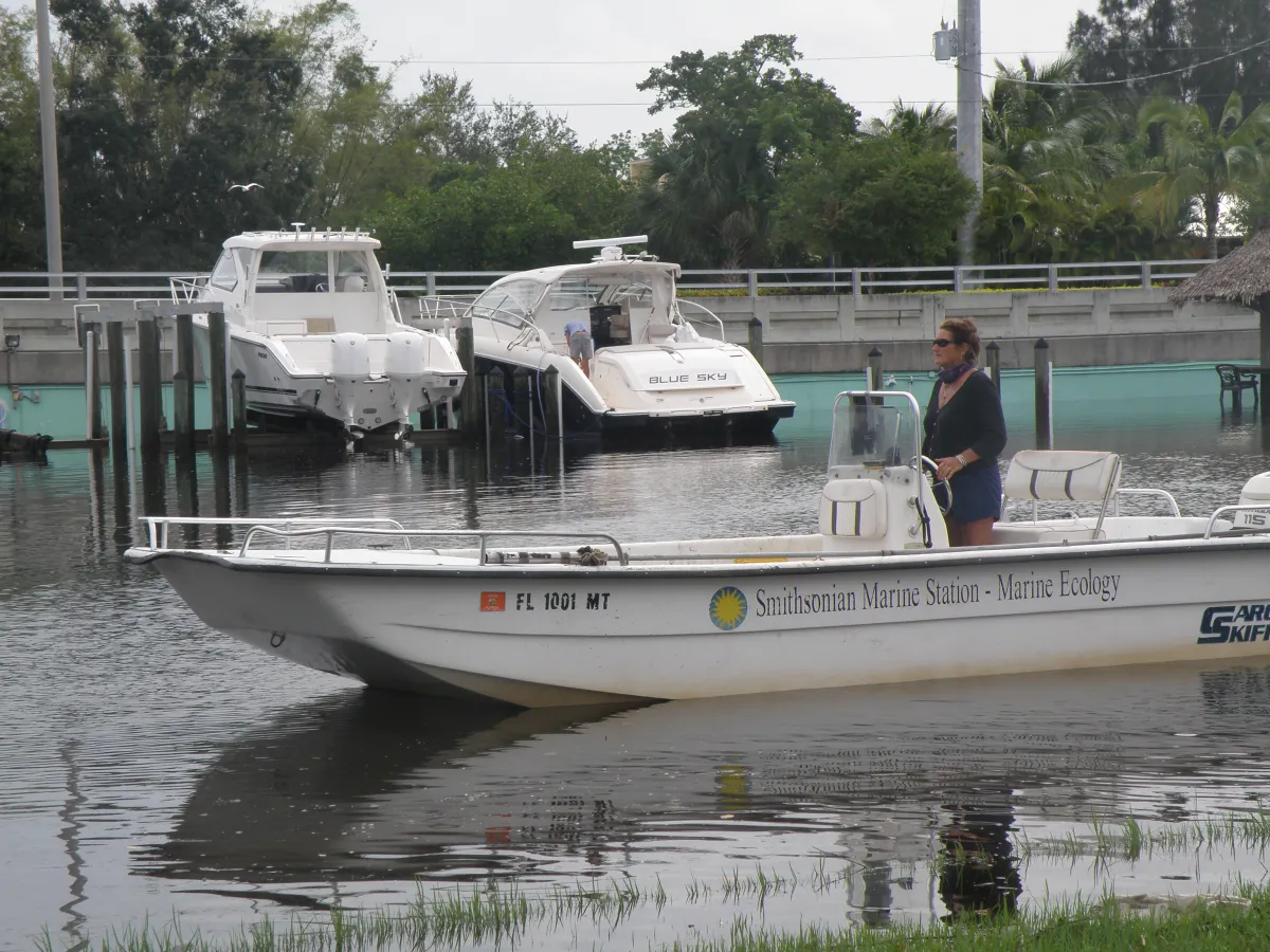 Sherry driving the skiff