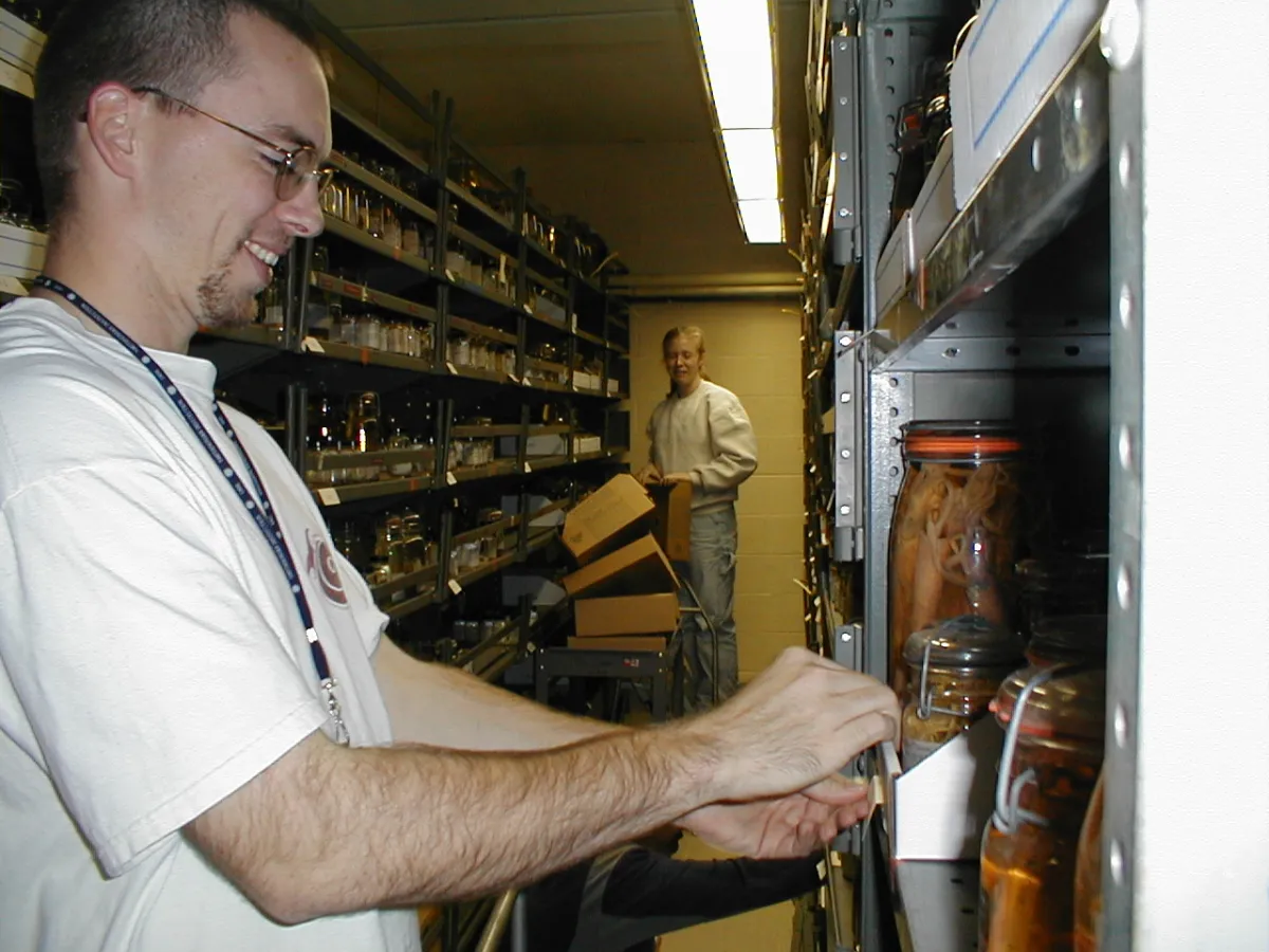 Two scientists packing jars of wet specimens