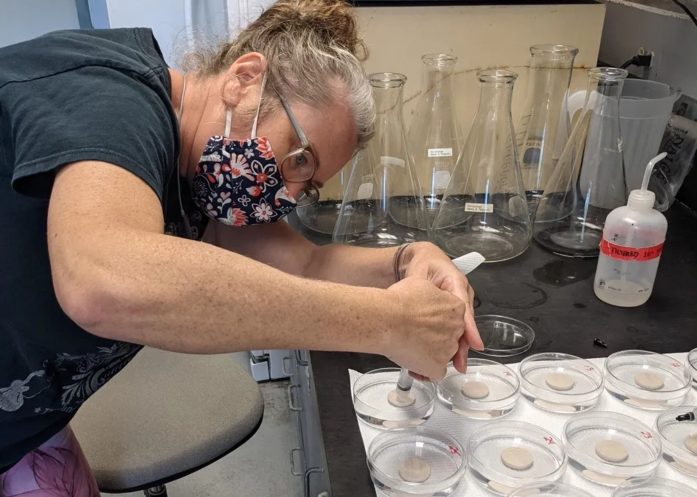 A masked woman with a small plastic dropper drips some liquid into round plastic trays.