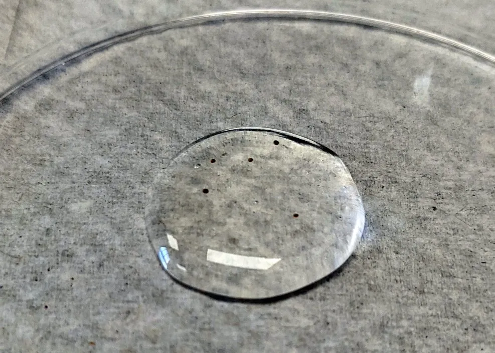Coral larvae, which look like small black dots, are suspended in a glob of clear gel in a plastic experiment dish.