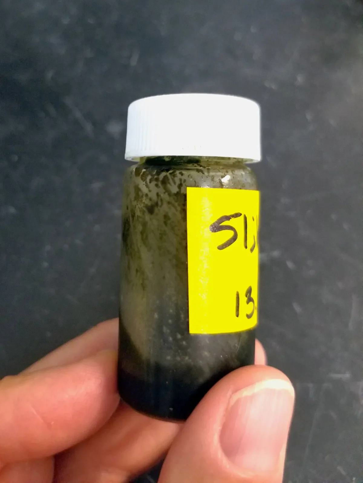 Sample of cyanobacterial extract