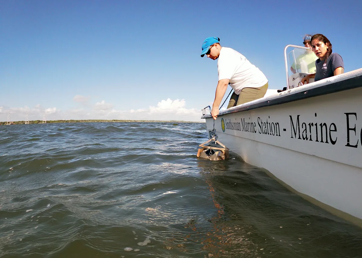 Benthic monitoring: Tiny creatures, heavy lifting