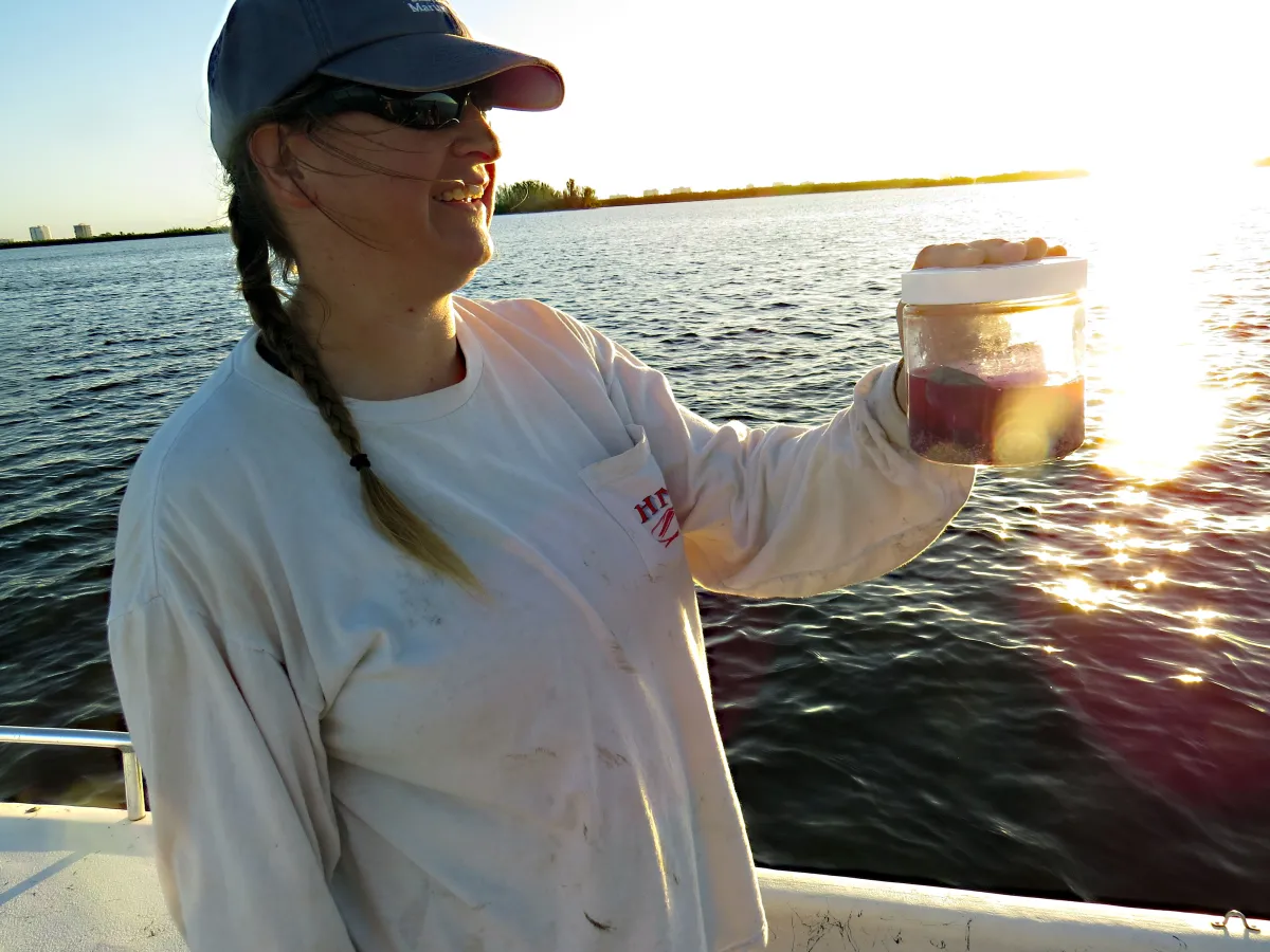 Sediment Sample Examination