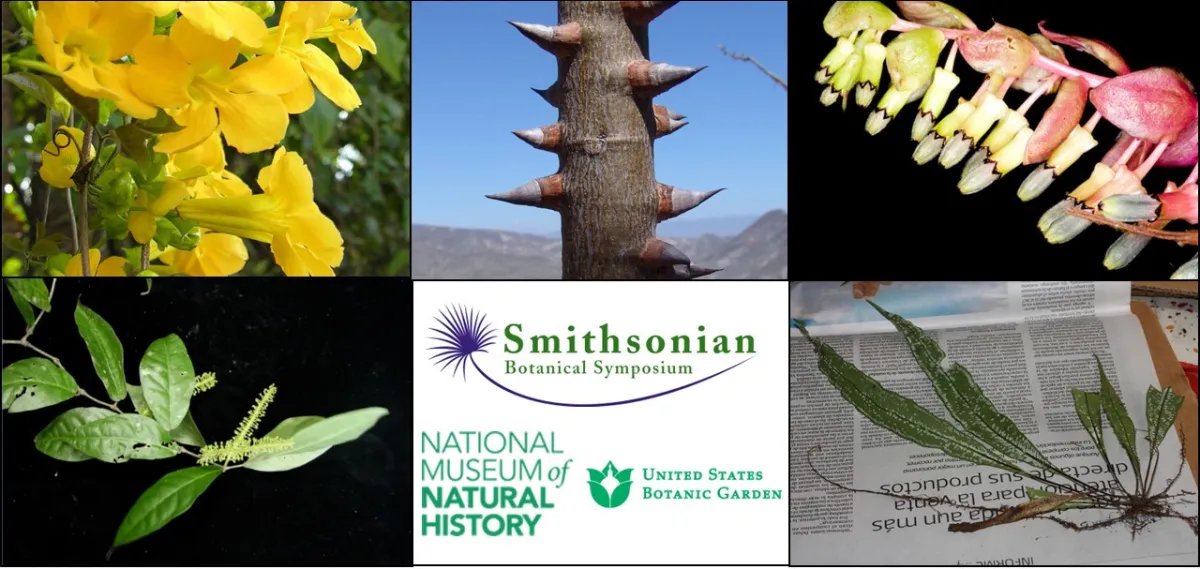 Banner for the 20th Smithsonian Botanical Symposium, displaying five Neotropical plants