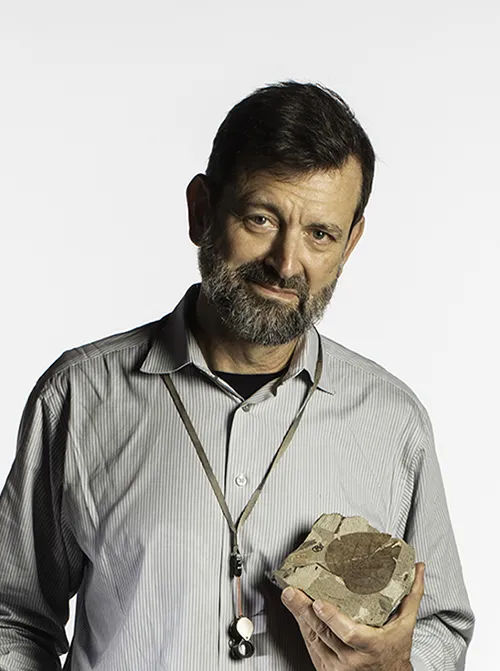 Scott Wing: Research Geologist and Curator of Paleobotany