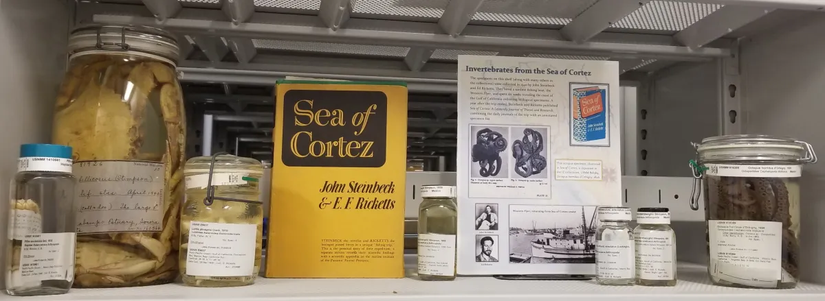 A shelf with jars of specimens and printed information about John Steinbeck and Ed Ricketts