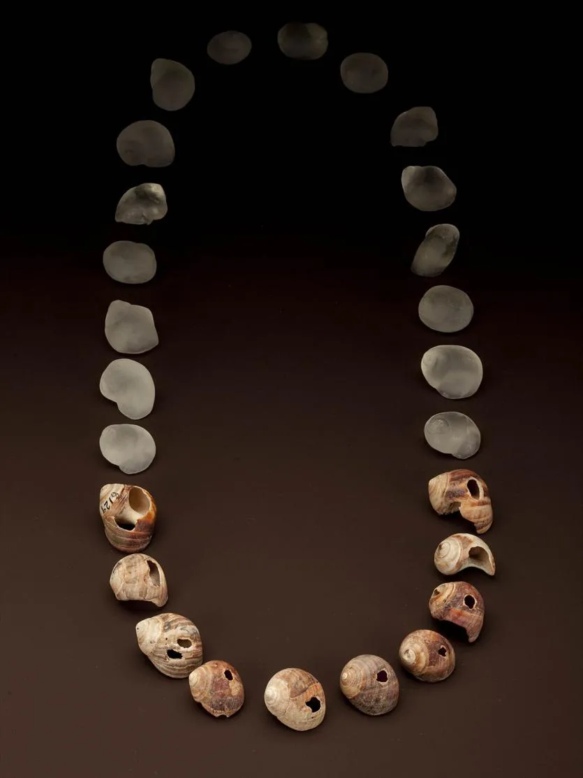 A shell bead necklace
