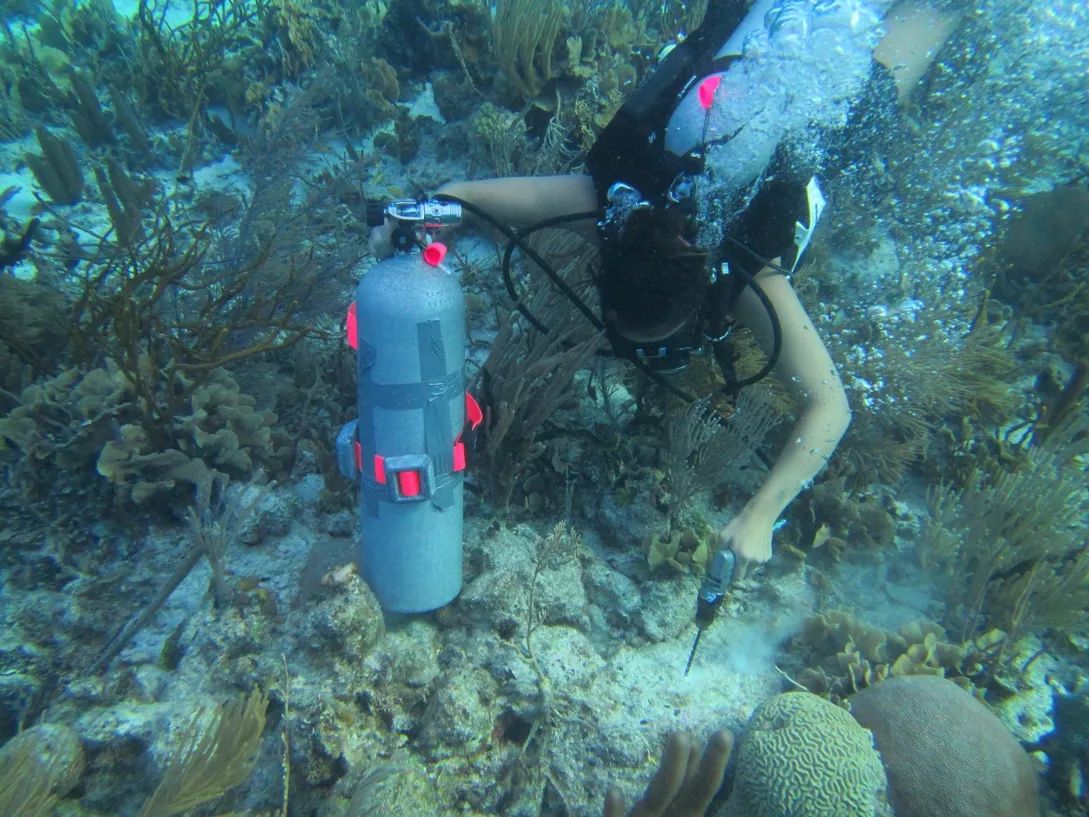 Scuba diver drilling coral to place settlement plates
