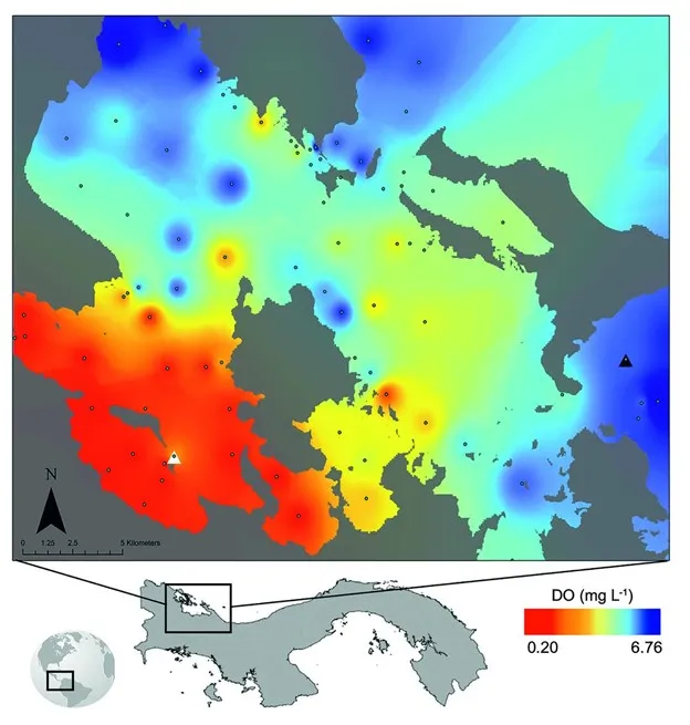 graphic depicting dissolved oxygen concentrations after the deoxygenation event witnessed by Maggie Johnson and colleagues. Very low oxygen areas are represented in red; low to below-normal in yellow and green, and normal oxygen areas are represented in blue.