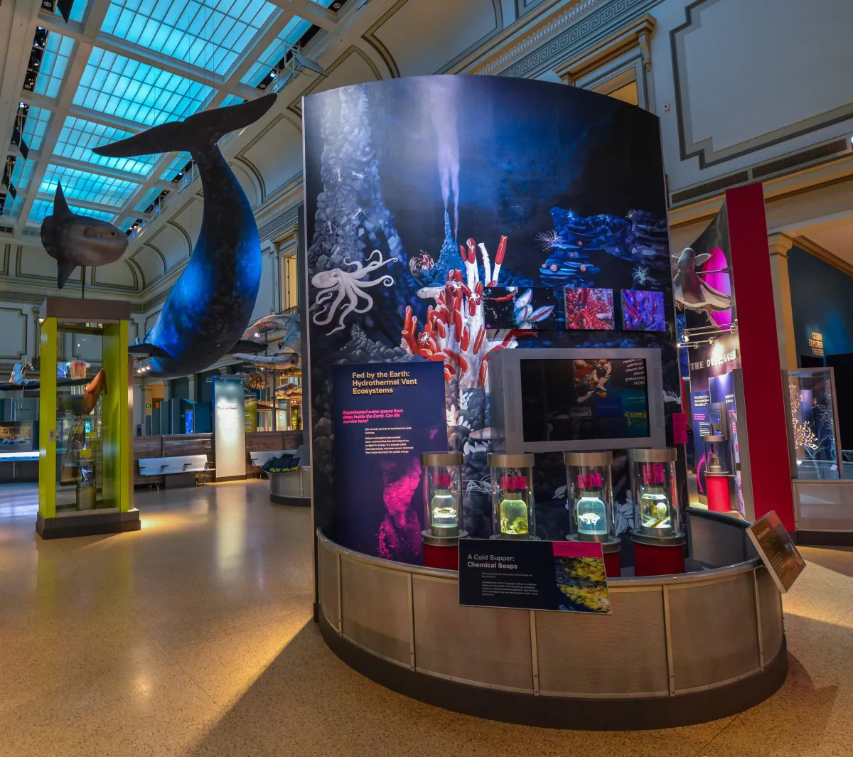 Hydrothermal vent ecosystem display in Ocean Hall