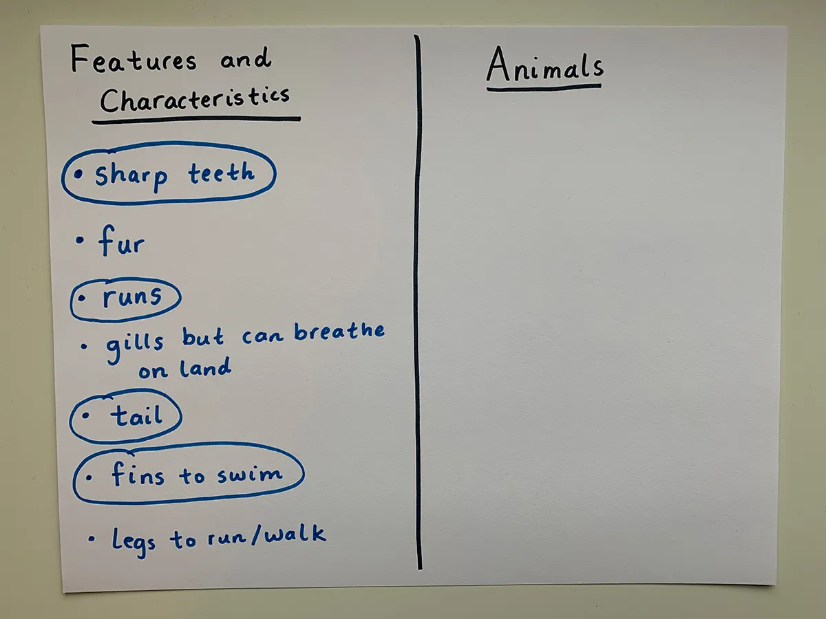 Create an Imaginary Animal | Smithsonian National Museum of Natural History Create an Imaginary Animal | Smithsonian National Museum of Natural History