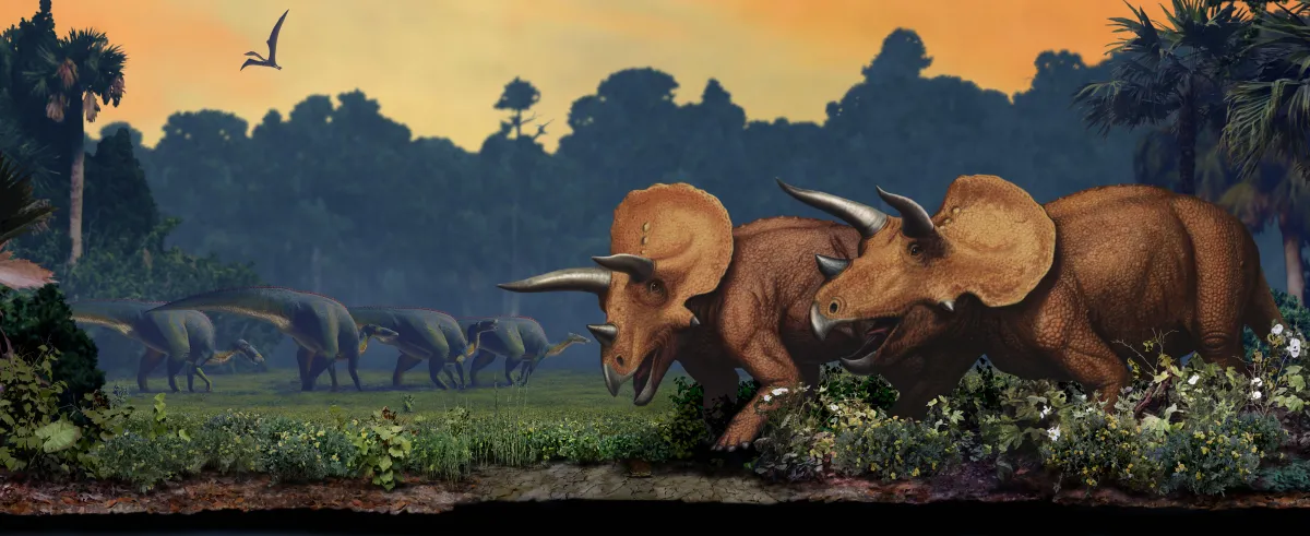 Color illustration of a dinosaur-age landscape with two Triceratops in the foreground.