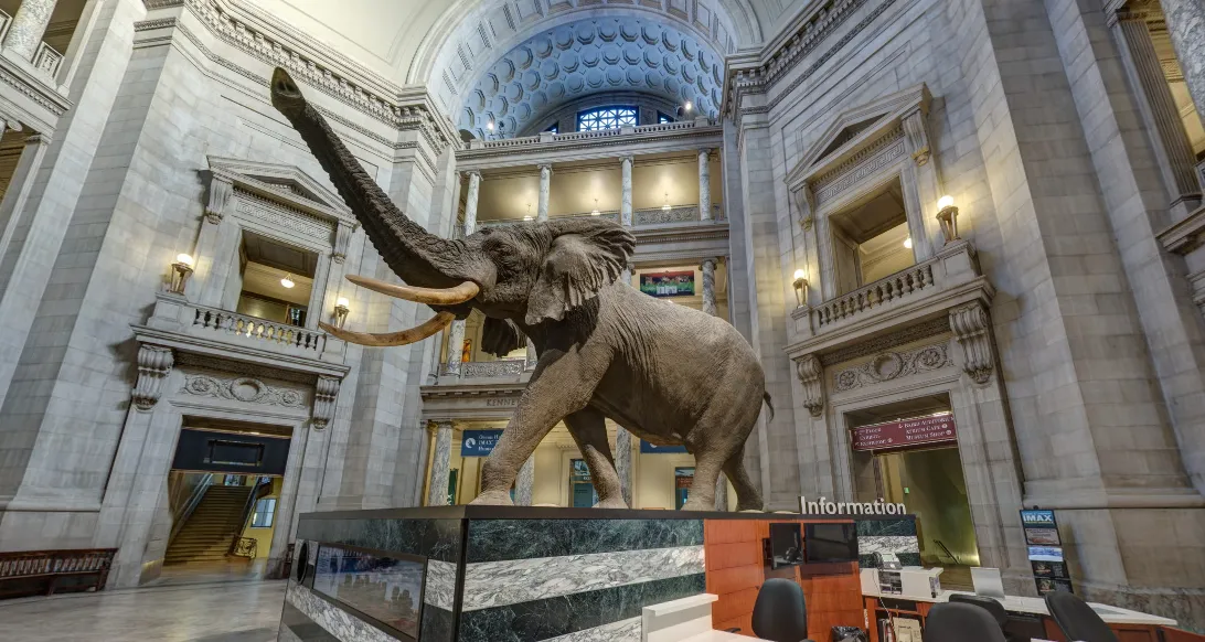 Do-It-Yourself Exhibits  Smithsonian National Museum of Natural