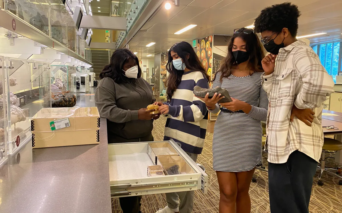 Three teenage girls and one teen boy standing in front of an open specimen drawer, looking at two museum specimens two of the teens are holding