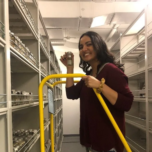Intern Zainab Hayat in the collections at MSC